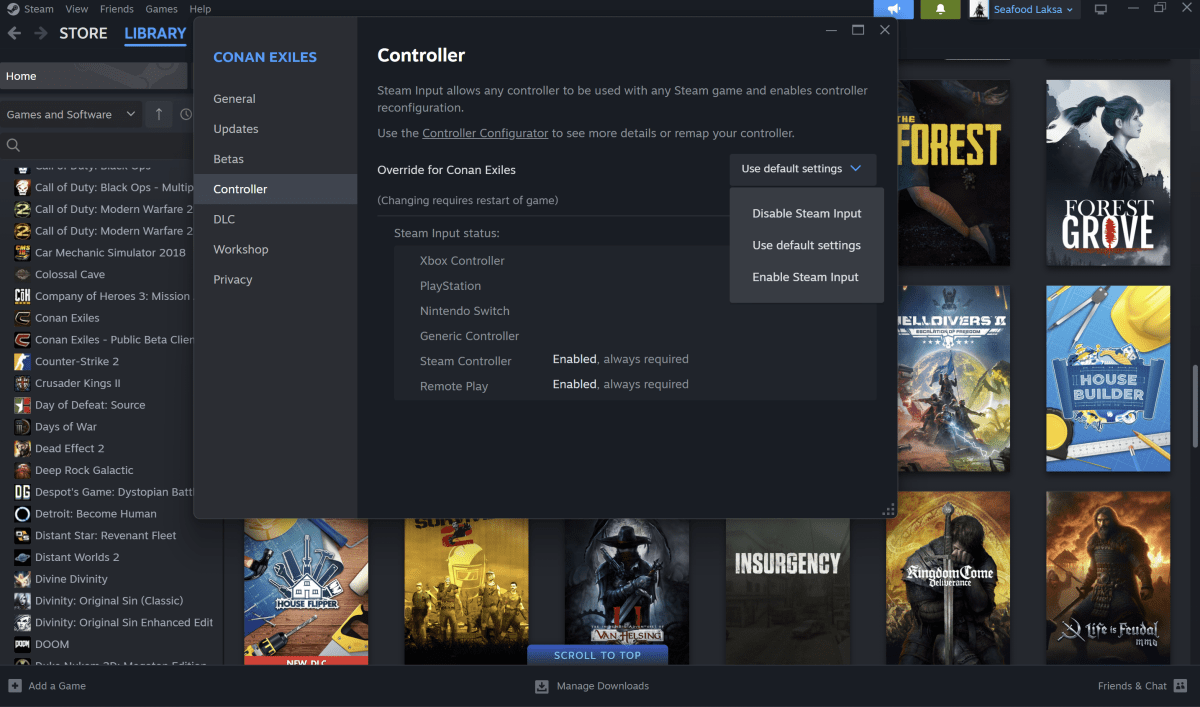 alt text: A screenshot of the Steam game properties window, highlighting the Controller settings. The image shows the option to "Enable Steam Input" for a selected game, allowing for controller compatibility.