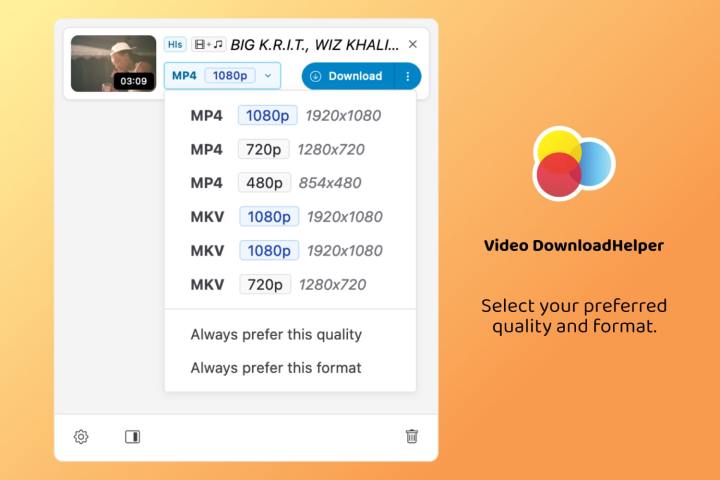 alt: The Video DownloadHelper Firefox extension download menu, showing available video formats and download options.