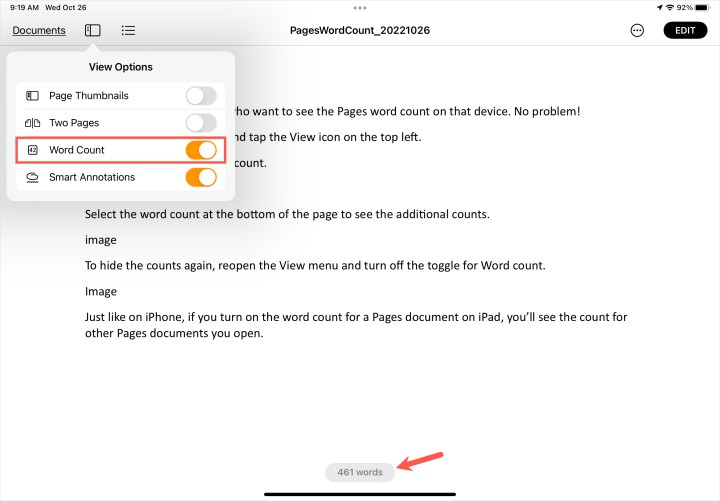 alt text: Screenshot of the Word Count toggle in the Pages View menu on an iPad.