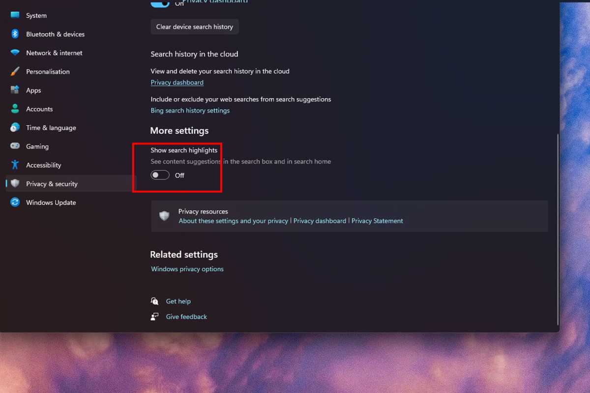 Windows 11 setting to disable search highlight ads screenshot