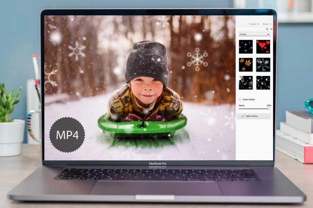 Adobe Photoshop Elements 2024 Review: A Powerful Photo Editor for Everyone