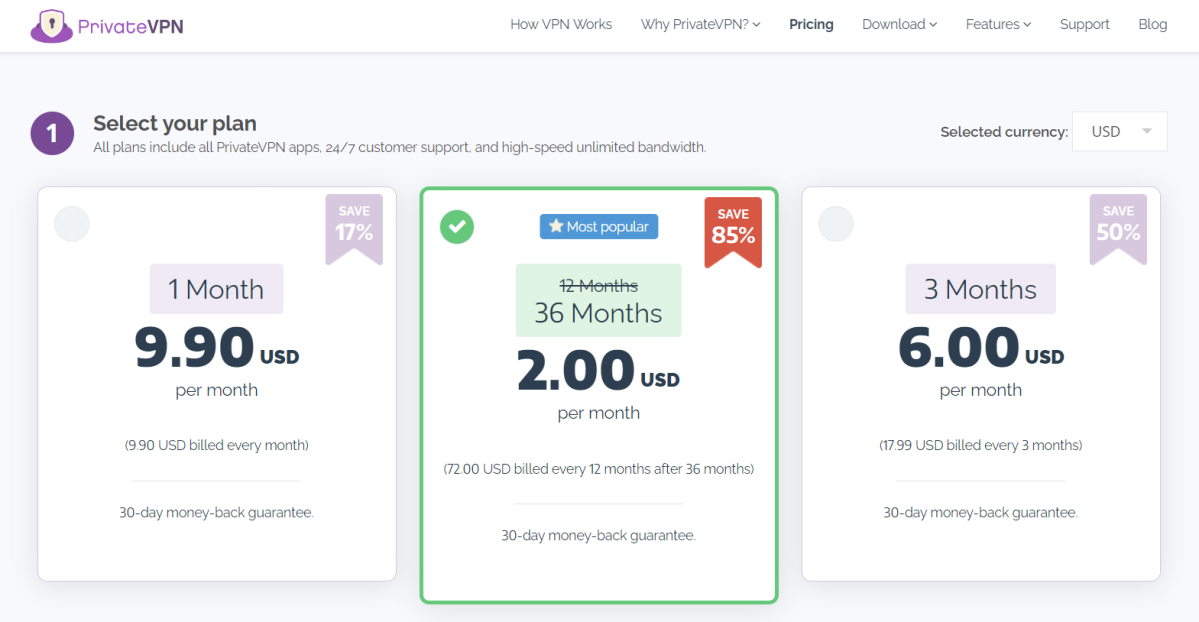 PrivateVPN Pricing