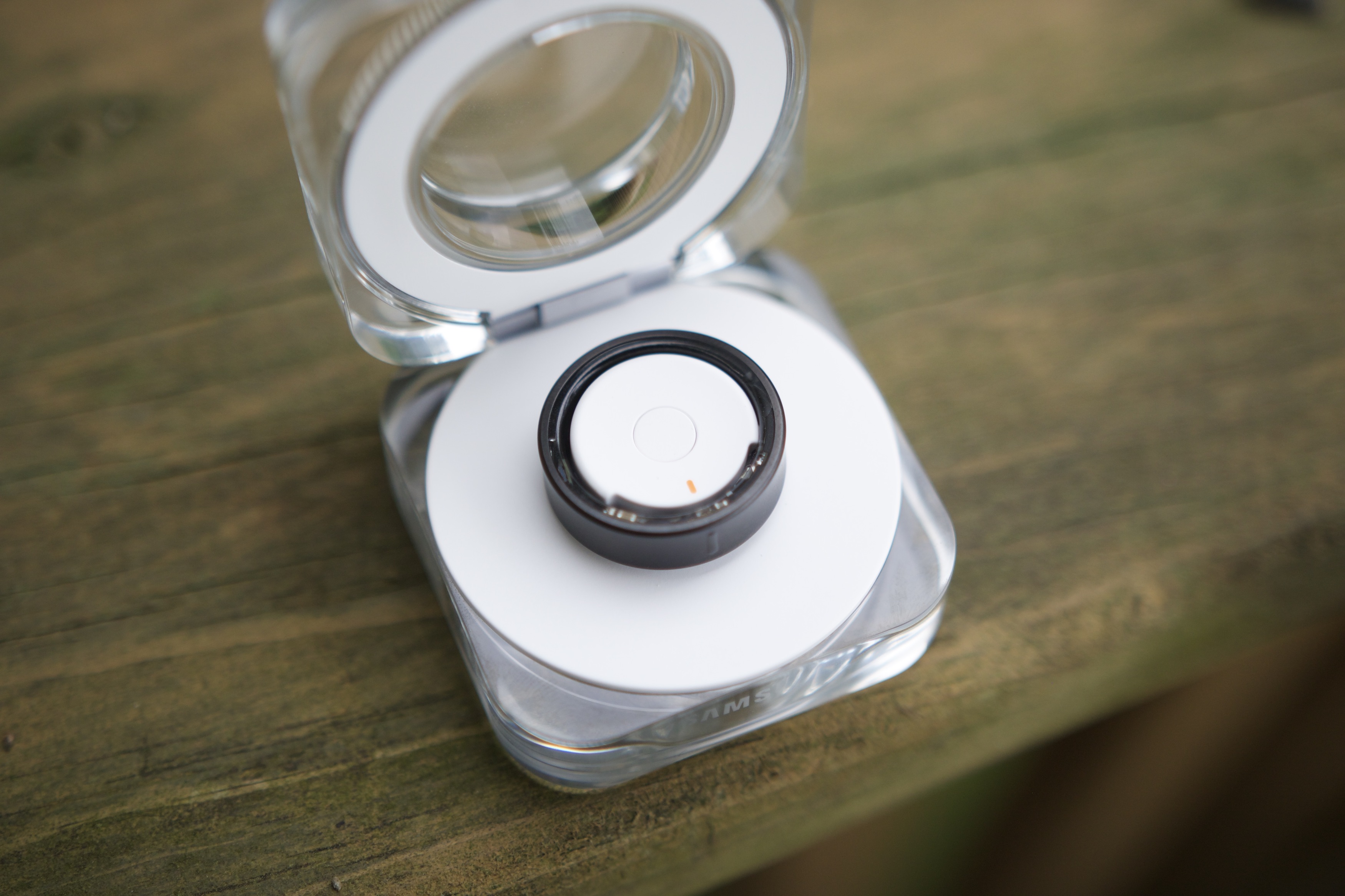 alt: The Samsung Galaxy Ring nestled in its charging case.