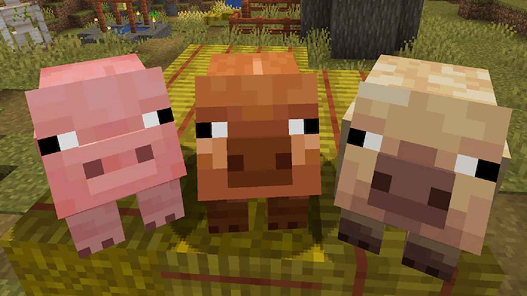 Minecraft Welcomes New Pig Variants After 15 Years