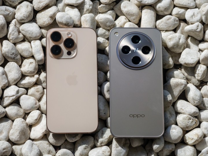 iPhone 16 Pro next to the OPPO Find X8 Pro on a bed of pebbles