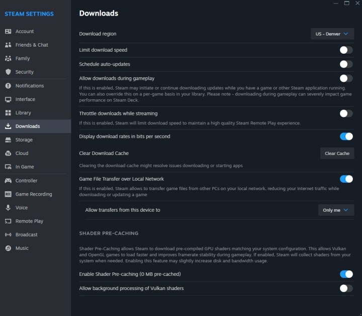 The Steam download settings menu.