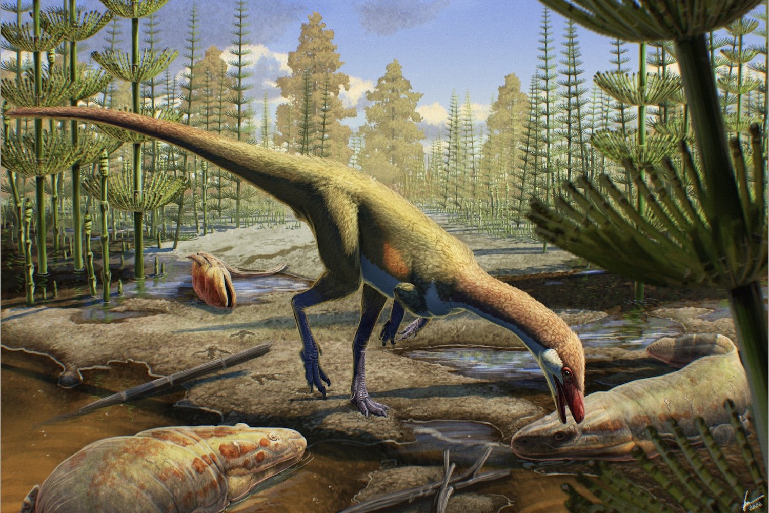 Oldest North American Dinosaur Discovery Challenges Theories of Dinosaur Origin