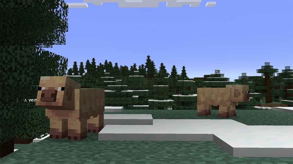 alt: A Cold Pig stands in a snowy Minecraft biome.