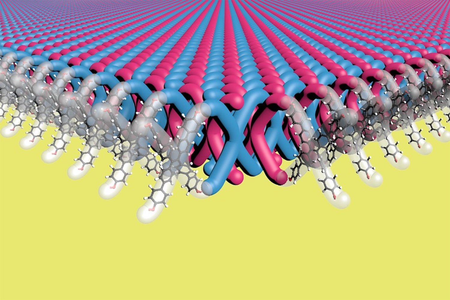 Chainmail-Inspired 2D Polymer: A Breakthrough in Material Science