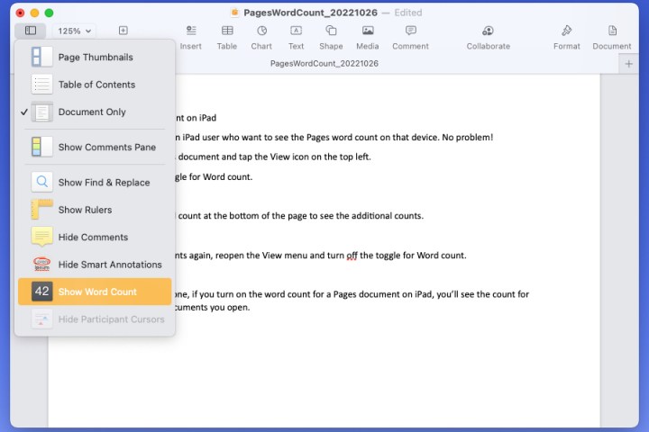 alt text: Screenshot of the Word Count option in the Pages View menu on a Mac.