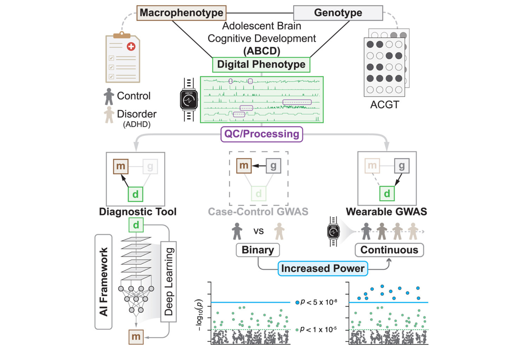 Using clinical, digital, and genetic data of the ABCD cohort to improve characterization of psychiatric disorders.