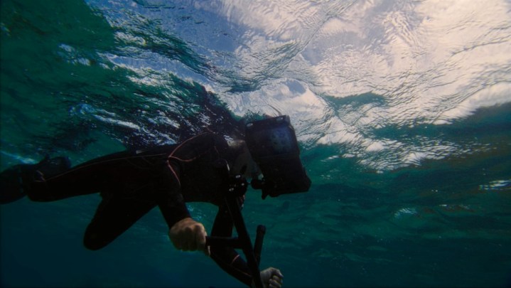 Researchers using the Samsung Galaxy S24 Ultra's Ocean Mode to capture images of coral reefs.