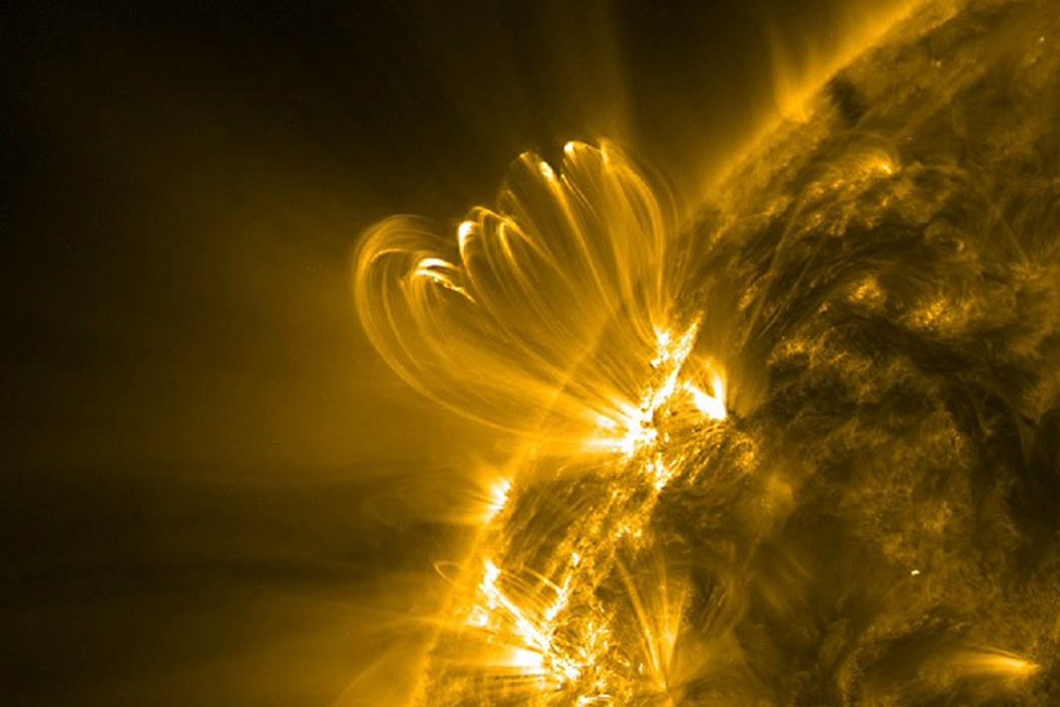 Coronal Loop Flickering: A New Predictor of Solar Flares?