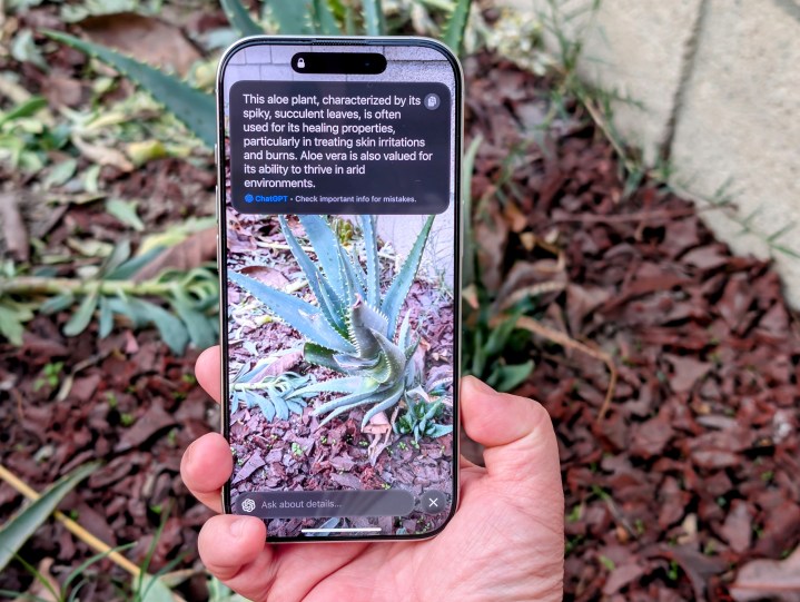 alt: Using Visual Intelligence on an iPhone 16 Pro to identify a plant and access information about it.