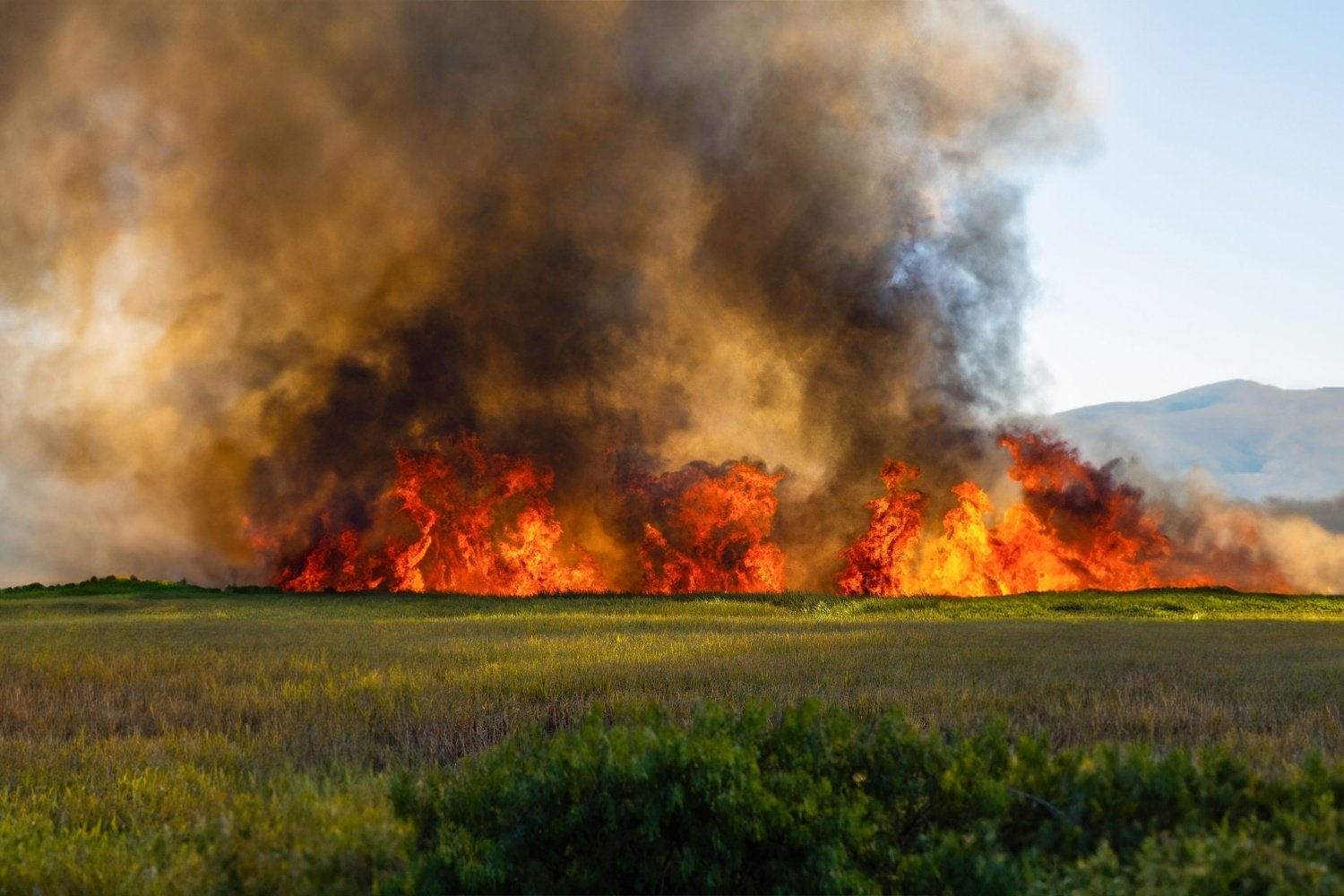 Wildfire Smoke's Lingering Health Risks Inside Homes: Cleaning Tips & Safety Precautions