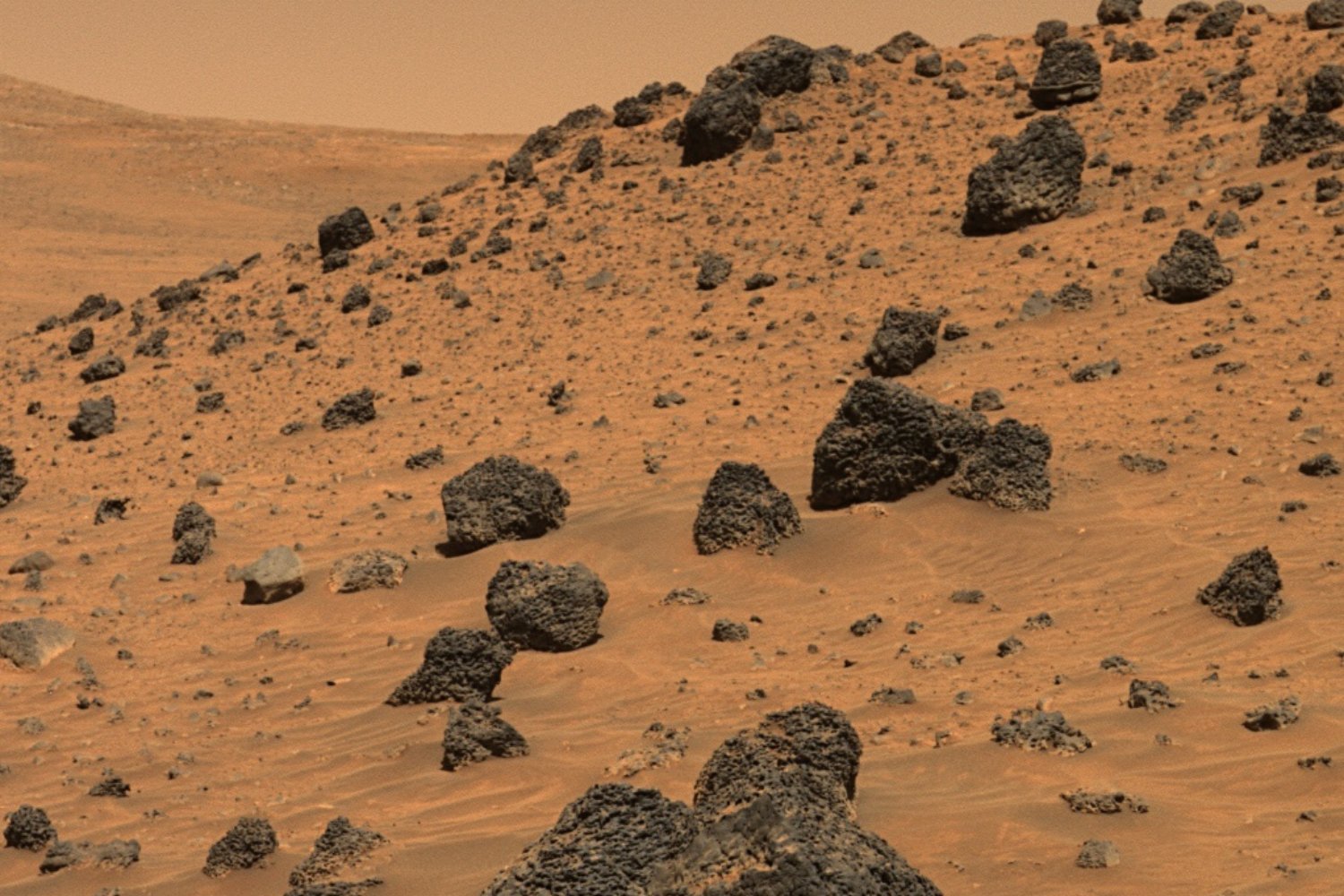 Could a Simple Chemical Lure Help Us Find Life on Mars?