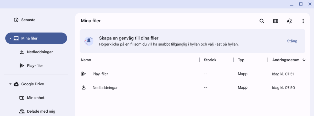 alt text: A screenshot of the Chromebook's File Manager, displaying both local and Google Drive files.