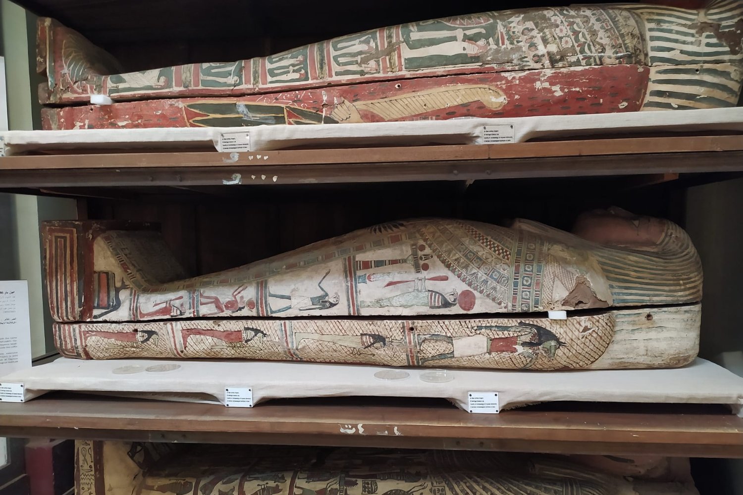 Unwrapping the Aromatic Secrets of Ancient Egyptian Mummies