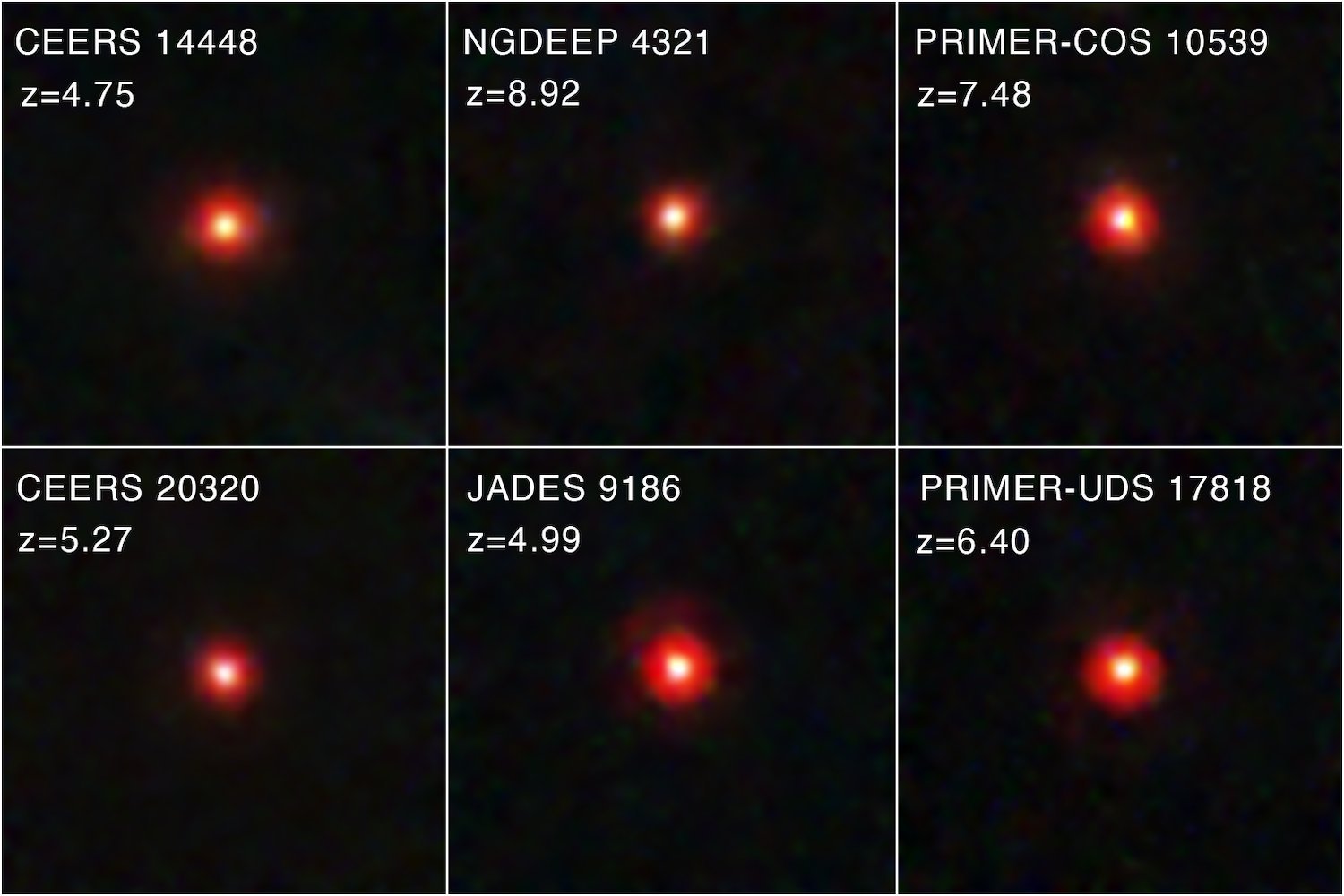 Unraveling the Mystery of Little Red Dots: Are They Early Universe Black Holes?