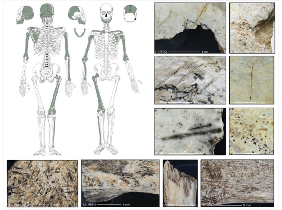 Cut marks and fractures on the bone fragments from the Maszycka cave.