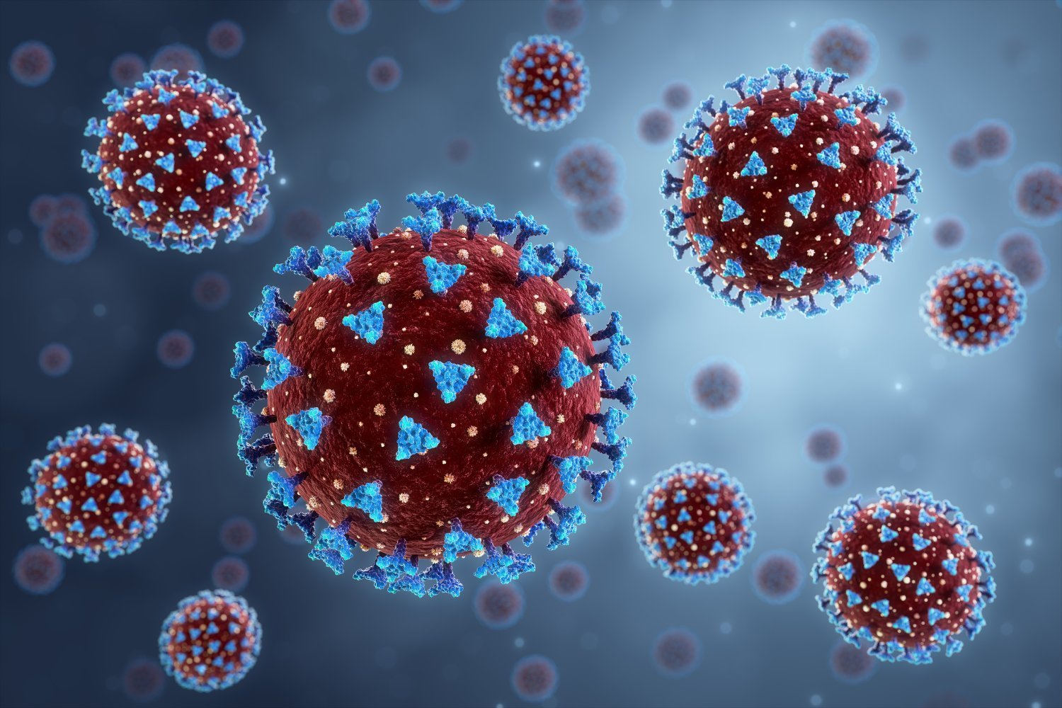 New Bat Coronavirus Raises Concerns About Future Pandemics