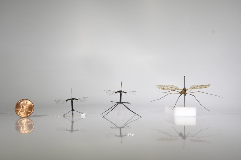 Robobee Progression