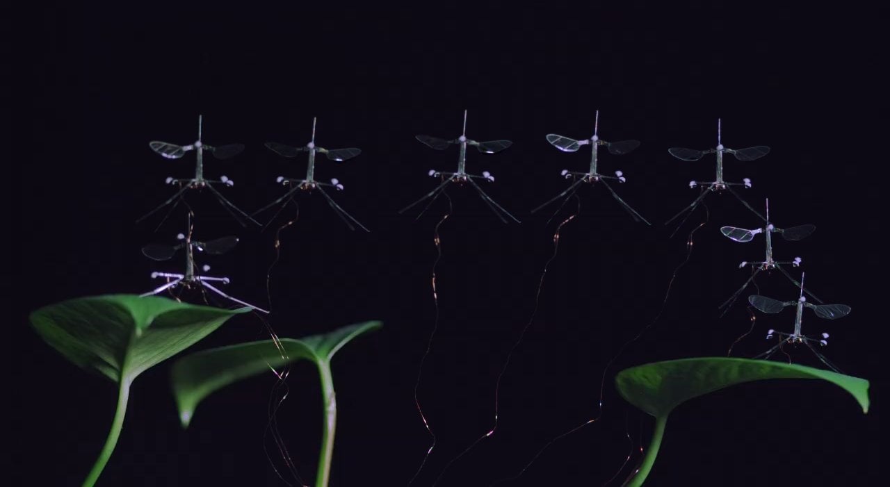 Leaf Landing Composite