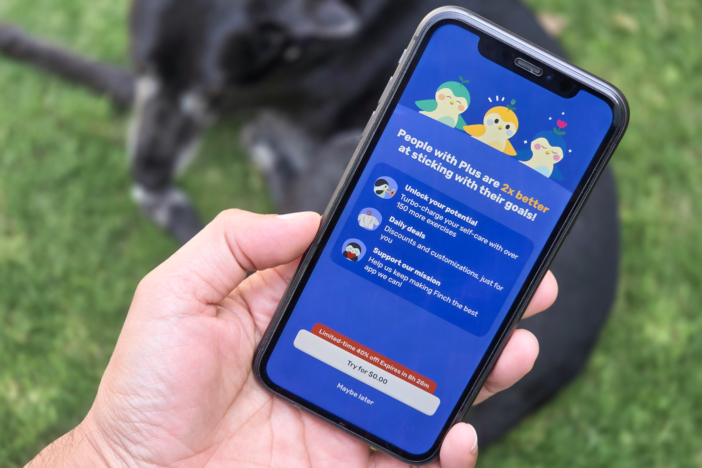 App payment screen on iOS app.