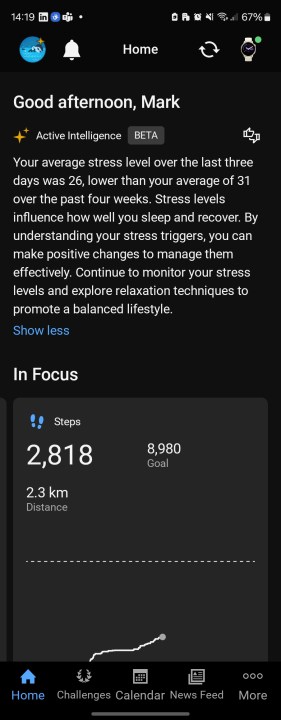 An AI summary in Garmin Connect.
