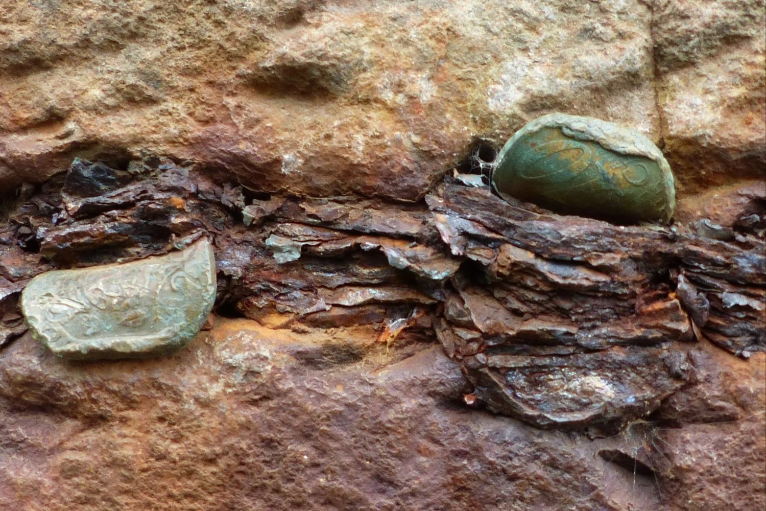 Stop Damaging Giant's Causeway: The Harmful Impact of Coins