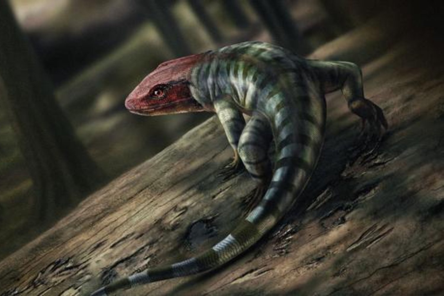 Oldest Clawed Tetrapod Tracks Rewrite Early Reptile Evolution