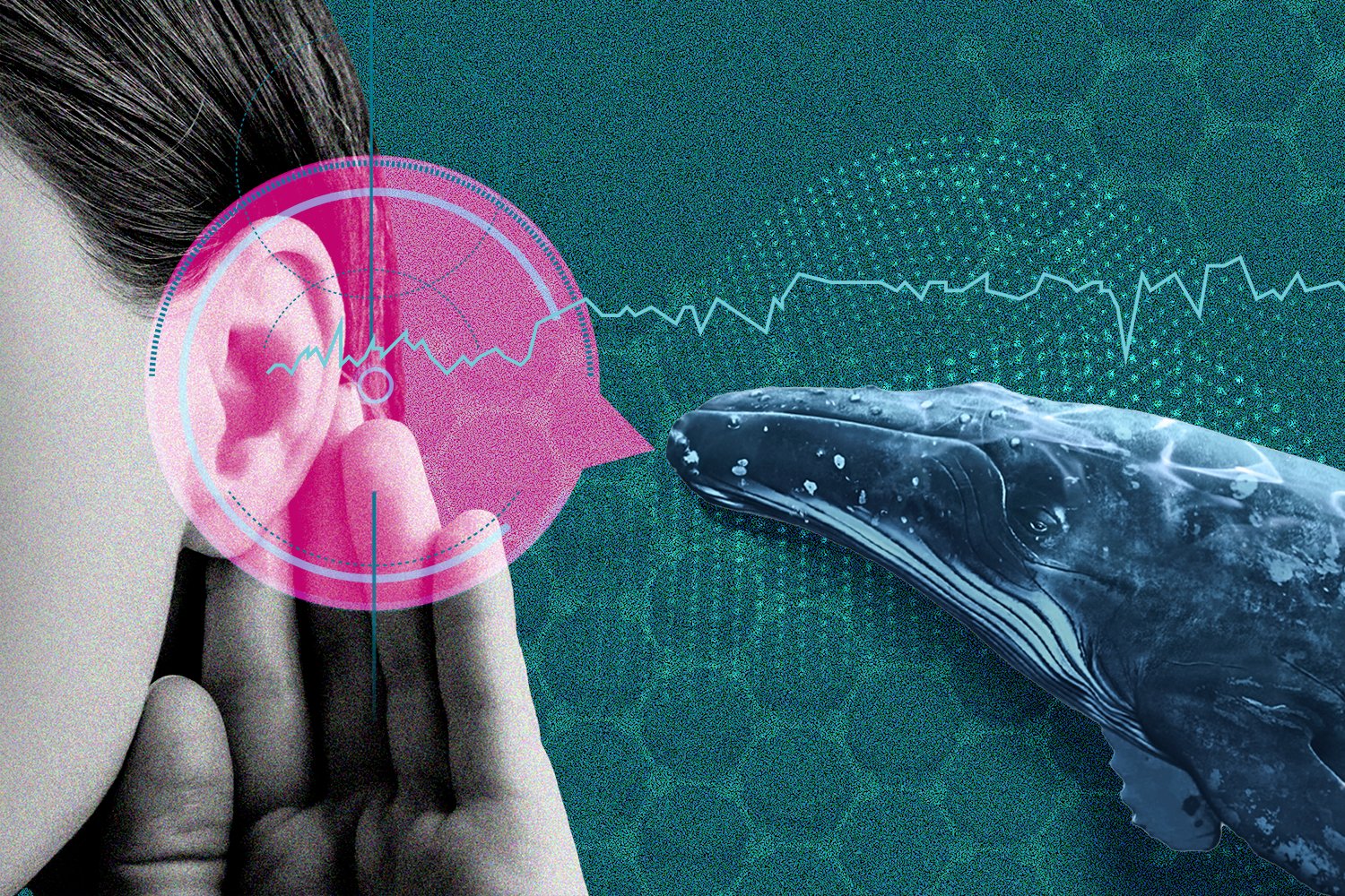 Decoding Animal Communication: How AI is Unveiling the Secrets of the Animal Kingdom