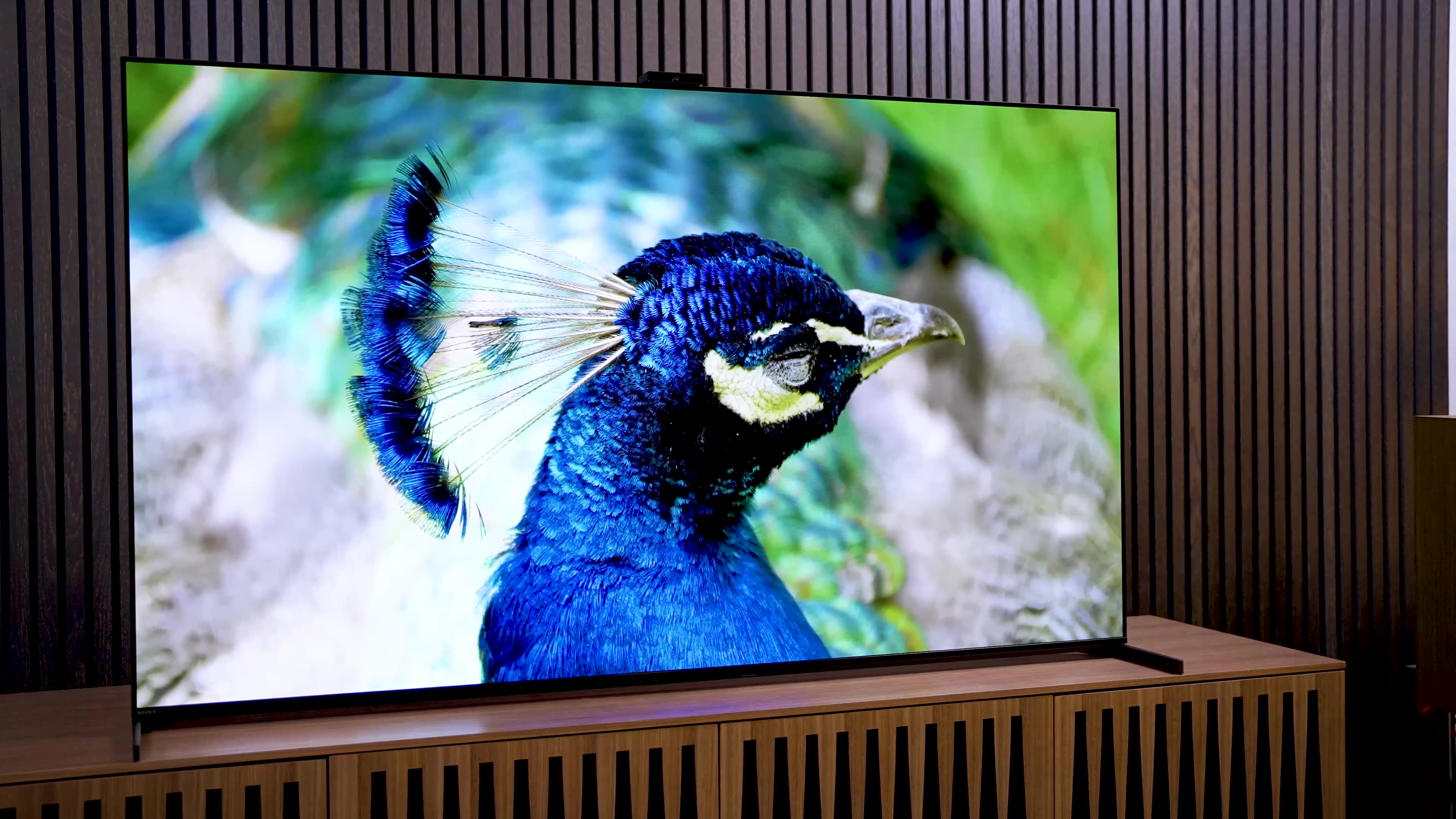 Sony A95L QD-OLED TV on display showcasing vibrant colors