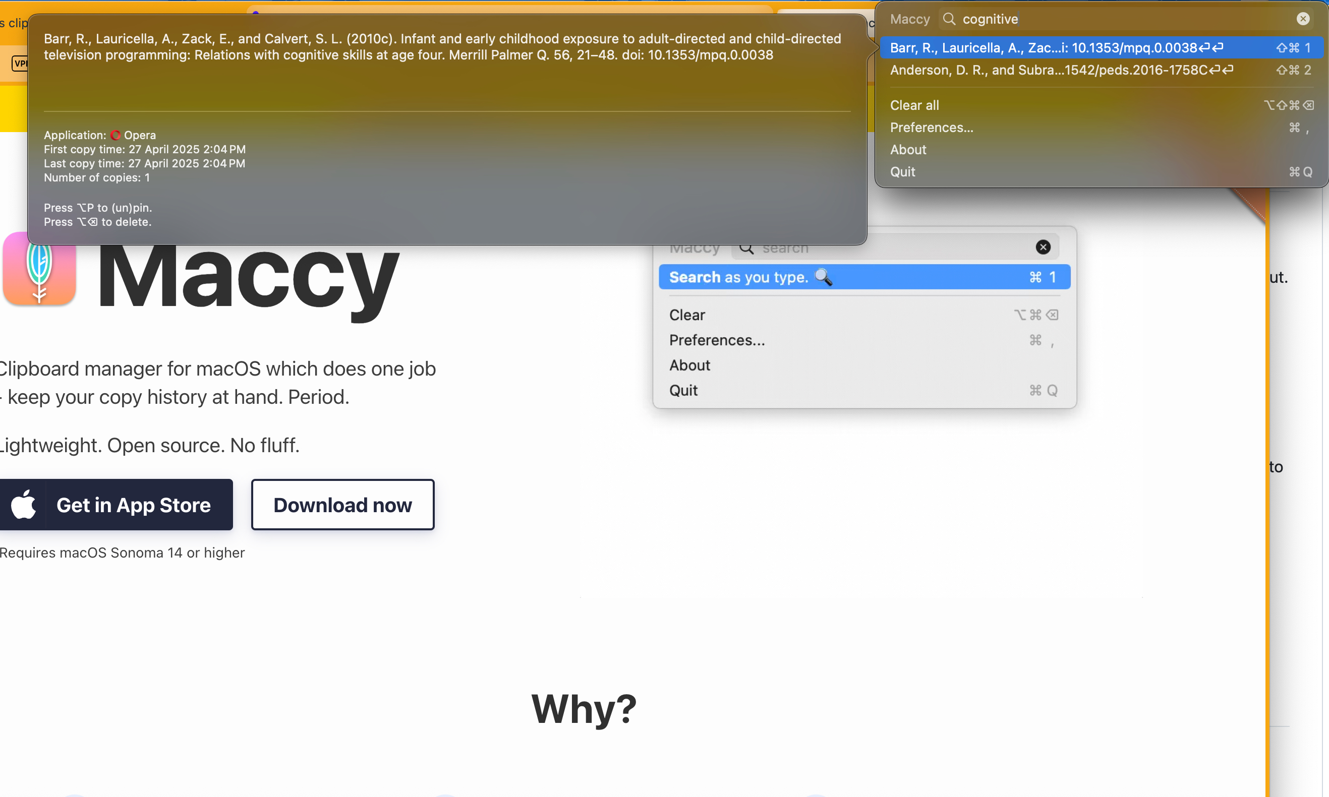 Screenshot of Maccy clipboard app interface on macOS displaying a list of copied text and image items.