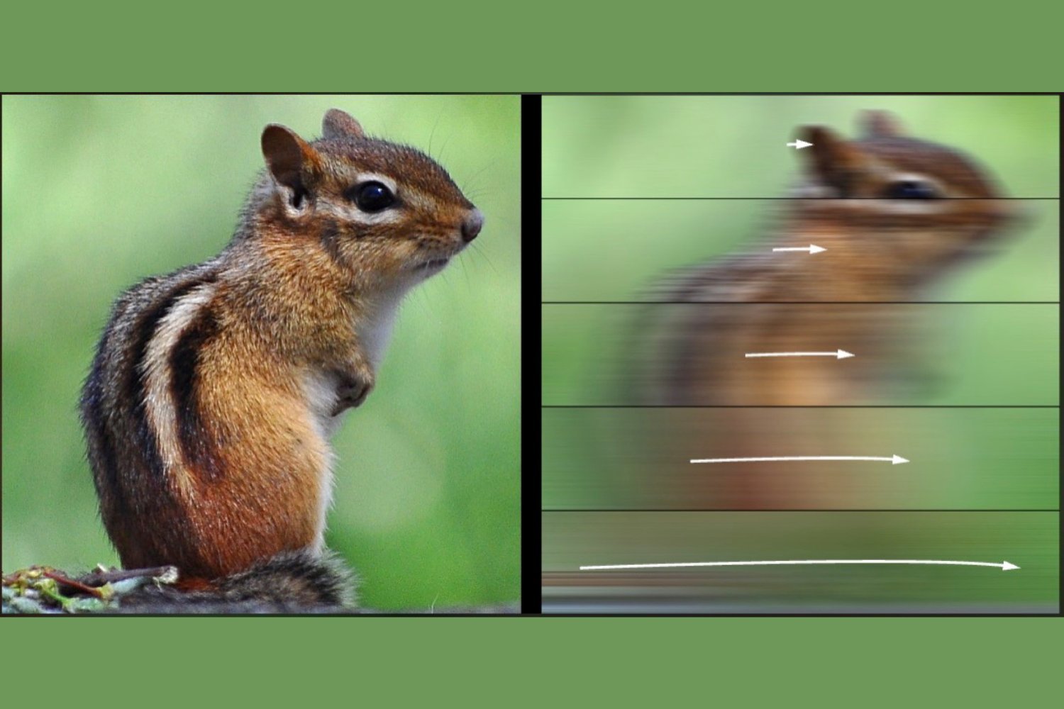 The Link Between Eye Movements and Perception Speed