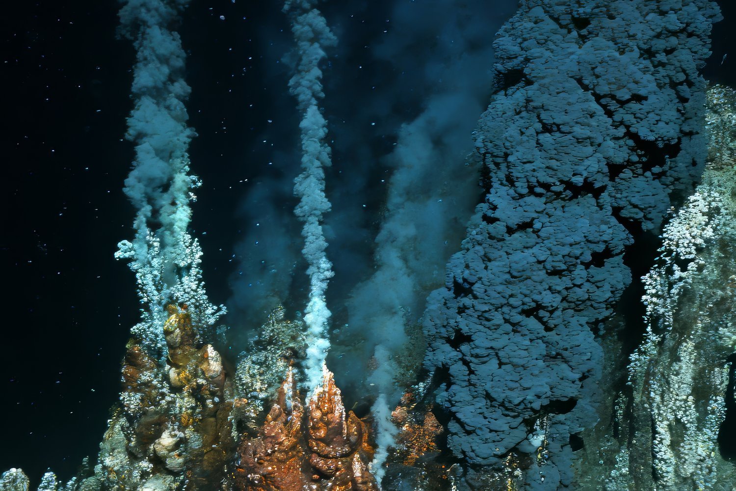 Exploring the Alien World Beneath Our Feet: A Journey into the Subsurface Biosphere