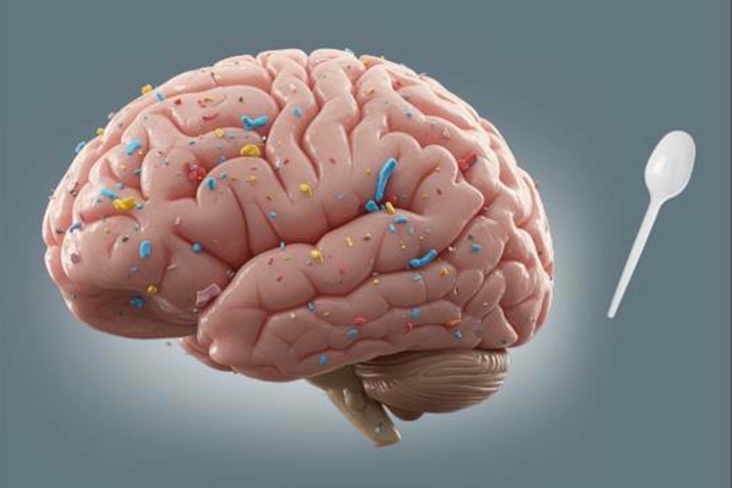 Microplastics in the Brain: A Potential Link to Neurological Disorders?