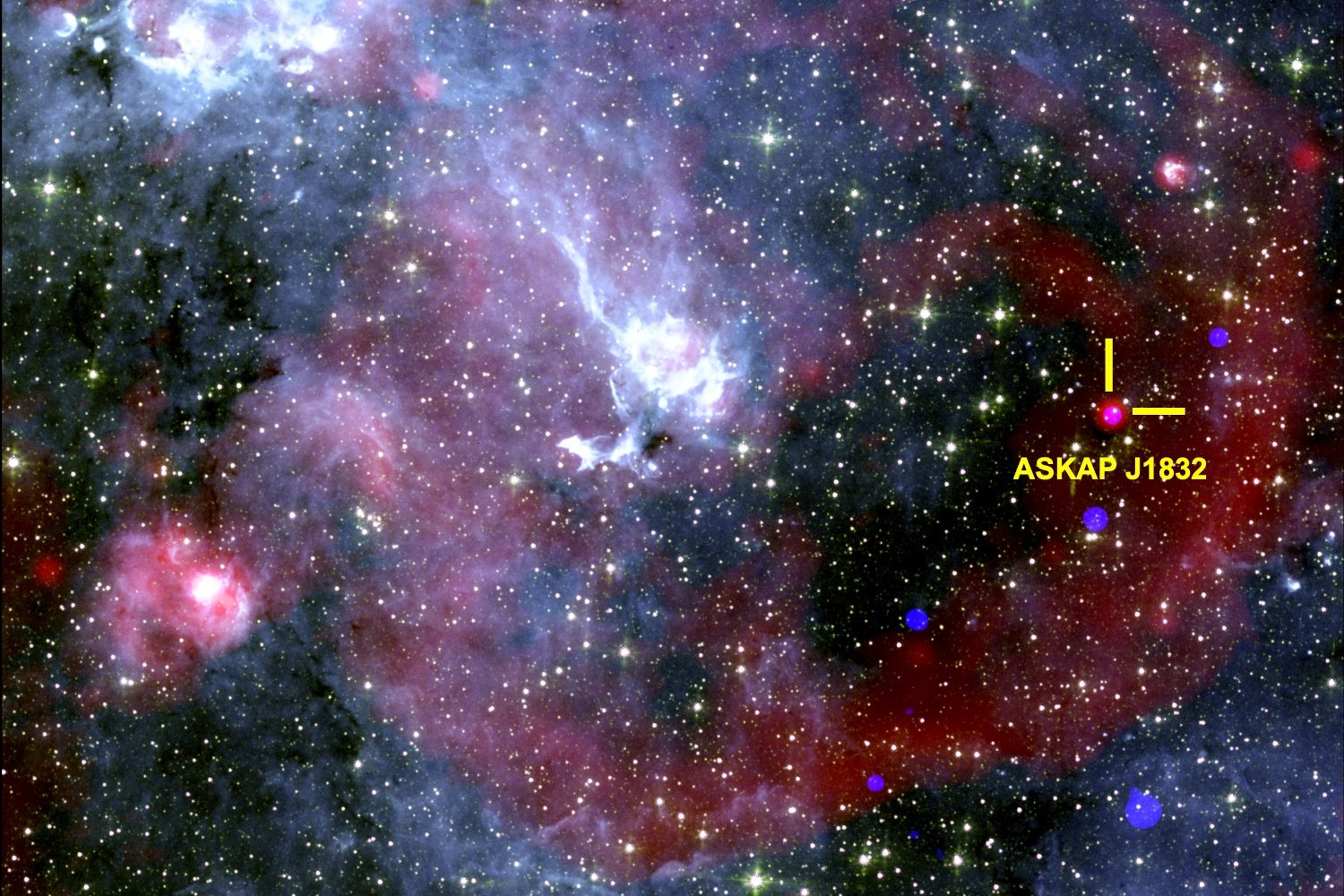 New Cosmic Enigma: ASKAP J1832-0911 Pulses Radio and X-rays