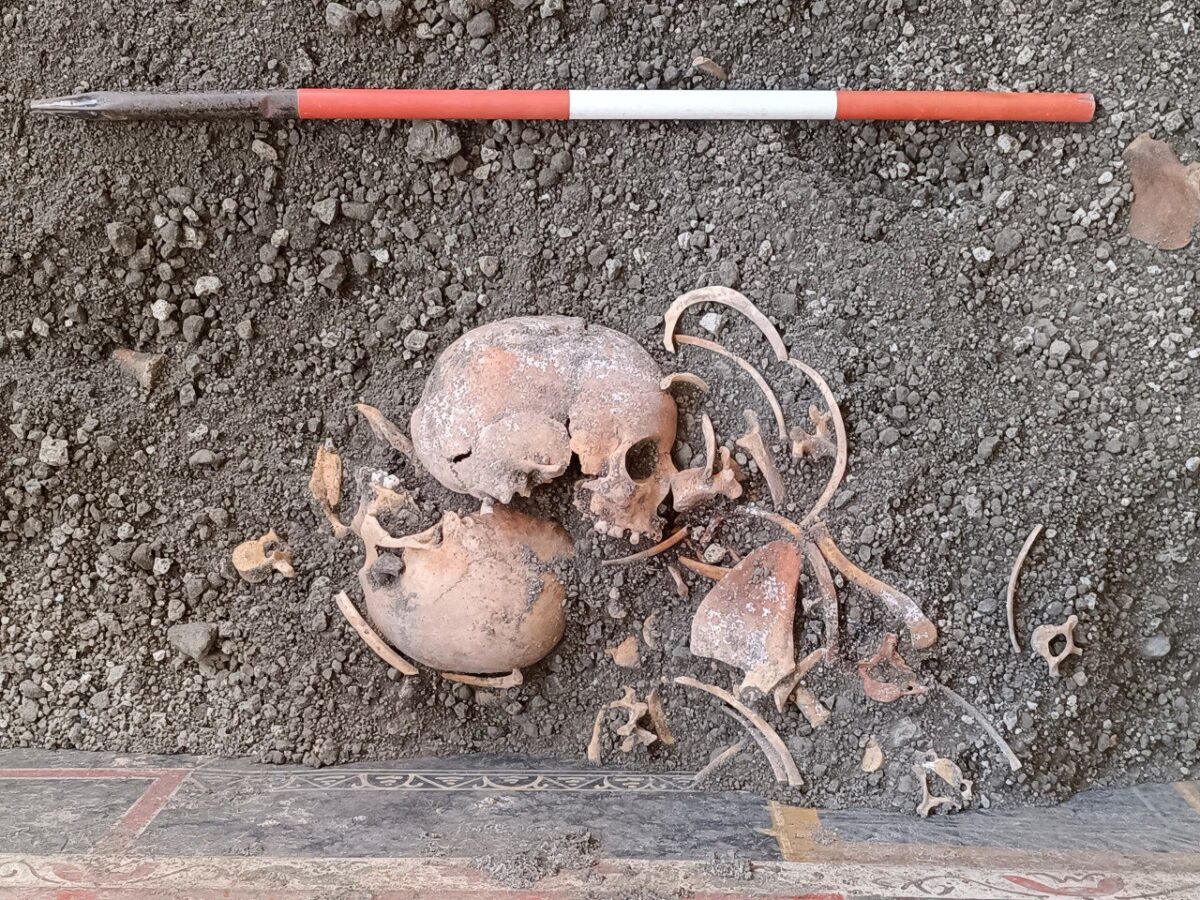 Human remains found within the House of Elle and Frisso.