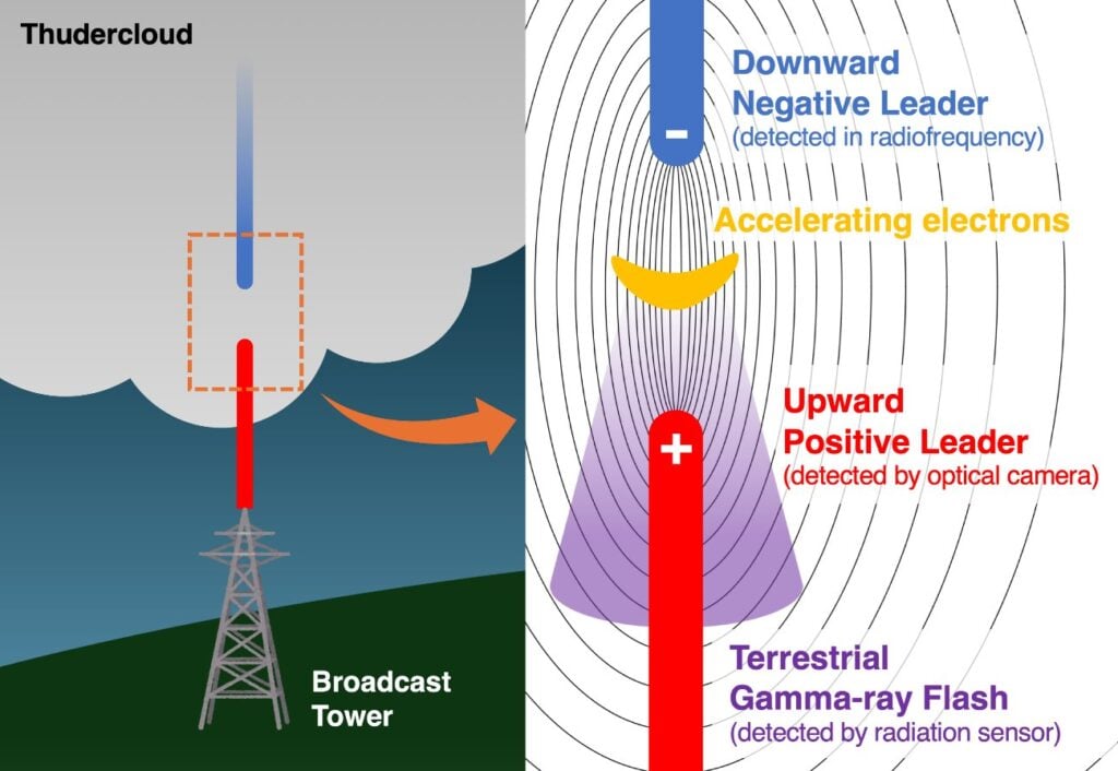 Schematic diagram illustrating a downward terrestrial gamma-ray flash (TGF) produced during a lightning discharge event.