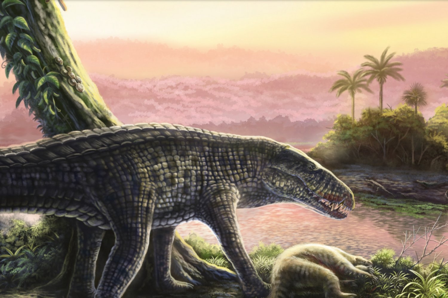 Extinct Croc-Like Predator Roamed the Caribbean Millions of Years Ago