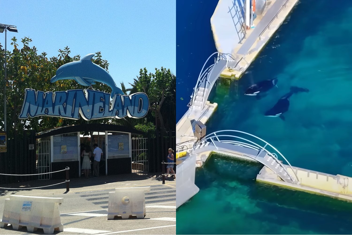 Two Orcas Abandoned in Deteriorating Tanks at Closed French Marine Park
