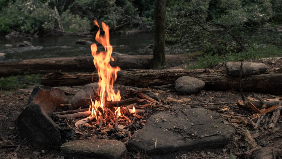 Unveiling the Flames: Did Meat Preservation Spark Early Human Fire Use?