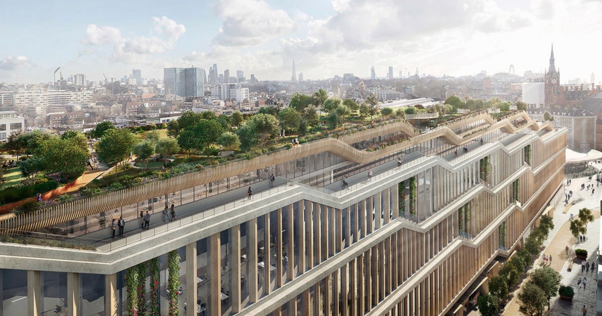 Google's New London Office: Unwanted Fox Residents on Rooftop Garden