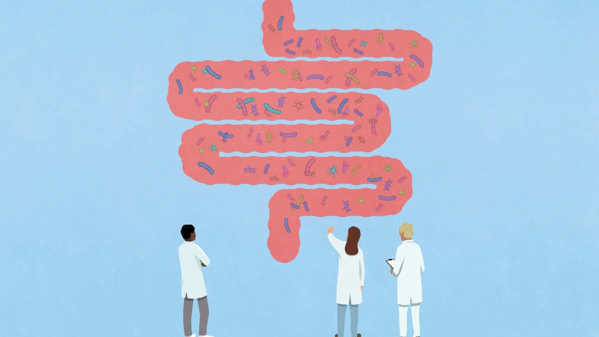 Fecal Transplant Study: Unforeseen Risks Highlighted