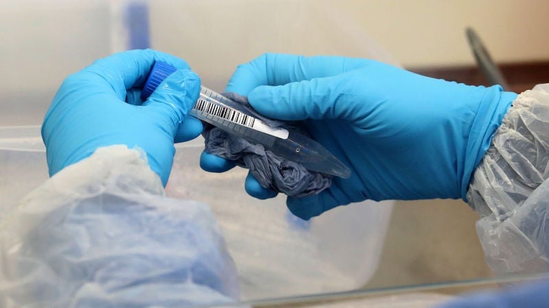 FDA Deploys "Elsa" AI: A New Era for Federal Efficiency?