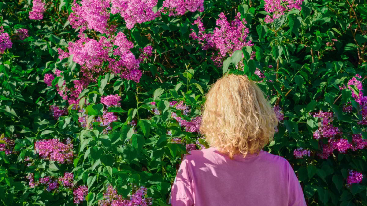 Why AI Still Can't Truly Understand a Flower