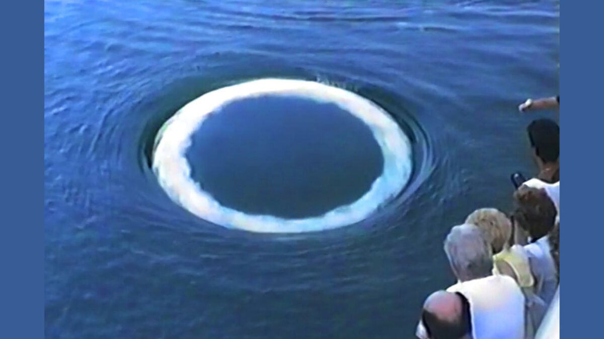 Whale Bubbles: A Key to Deciphering Alien Contact?